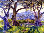 Theo van Rysselberghe  - Bilder Gemälde - Olive Trees near Nice