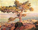 Theo van Rysselberghe  - Bilder Gemälde - Pine by the Mediterranean Sea