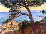 Theo van Rysselberghe  - Bilder Gemälde - The Pine at La Fossette