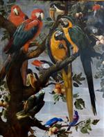 Frans Snyders  - Bilder Gemälde - Parrots and Other Birds
