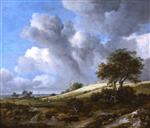 Jacob Isaackszoon van Ruisdael - Bilder Gemälde - A Cornfield with the Zuiderzee in the background