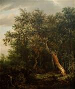 Jacob Isaackszoon van Ruisdael  - Bilder Gemälde - Glade in a Wood