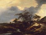 Jacob Isaackszoon van Ruisdael  - Bilder Gemälde - Landscape with Dunes