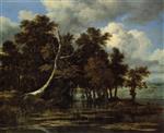 Jacob Isaackszoon van Ruisdael  - Bilder Gemälde - Oaks at a lake with Water Lilies