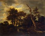 Jacob Isaackszoon van Ruisdael  - Bilder Gemälde - Rivulet in a Forest