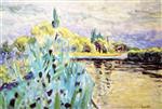Pierre Bonnard  - Bilder Gemälde - Reeds