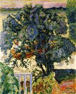 Pierre Bonnard  - Bilder Gemälde - Tree by the River