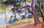 Maximilien Luce  - Bilder Gemälde - Pine Forest on the Edge of the Sea