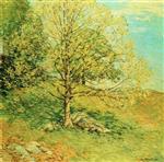 Willard Leroy Metcalf - Bilder Gemälde - Budding Oak