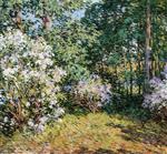 Willard Leroy Metcalf  - Bilder Gemälde - Laurel Woods