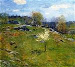 Willard Leroy Metcalf  - Bilder Gemälde - Unfolding Buds