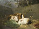 George Morland  - Bilder Gemälde - Guinea Pigs