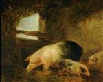 Bild:Pigs in a Sty