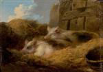 George Morland  - Bilder Gemälde - Two Pigs in Straw