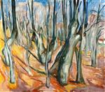 Edvard Munch  - Bilder Gemälde - Elm Forest in Spring