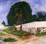 Edvard Munch  - Bilder Gemälde - Trees and Garden Wall in Åsgårdstrand