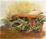 Bild:Garden Bench with Ferns