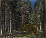 Stanislaw Julianowitsch Zukowski  - Bilder Gemälde - Pine Forest