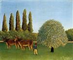 Henri Rousseau  - Bilder Gemälde - Meadowland