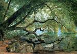John Frederick Kensett - Bilder Gemälde - An Ilex Tree on Lake Albano, Italy