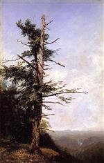 John Frederick Kensett  - Bilder Gemälde - The Hemlock