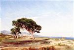 Felix Ziem  - Bilder Gemälde - Paysage des environs de Cagnes