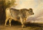 Thomas Sidney Cooper - Bilder Gemälde - Bull