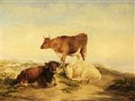 Thomas Sidney Cooper  - Bilder Gemälde - Cows