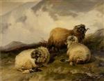 Thomas Sidney Cooper  - Bilder Gemälde - Mountain Sheep