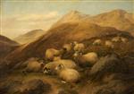 Thomas Sidney Cooper  - Bilder Gemälde - Mountain Sheep