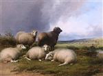 Thomas Sidney Cooper  - Bilder Gemälde - Sheep in a Landscape