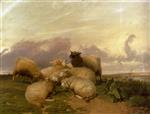 Thomas Sidney Cooper  - Bilder Gemälde - Sheep in Canterbury water meadows