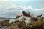 Thomas Sidney Cooper  - Bilder Gemälde - Sheep on a Hillside
