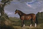 John Frederick Herring - Bilder Gemälde - A Clydesdale Stallion