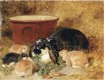 John Frederick Herring - Bilder Gemälde - A Doe Rabbit and Her Kits in an Interior