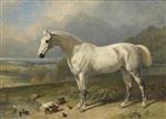 John Frederick Herring - Bilder Gemälde - A Grey Horse and Ducks in a Landscape