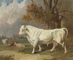 John Frederick Herring - Bilder Gemälde - A White Bull, Fulbourn, Cambridgeshire