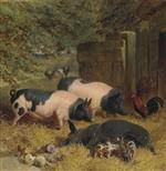 John Frederick Herring - Bilder Gemälde - Berkshire Saddlebacks and Chickens in a Straw-bedded Yard