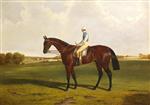 John Frederick Herring - Bilder Gemälde - Bloomsbury with S. Templeman Up, in the Colours of the Owner and Trainer, W. Ridsdale
