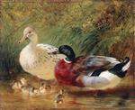John Frederick Herring  - Bilder Gemälde - Ducks and Ducklings