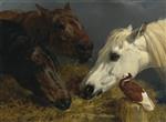 John Frederick Herring  - Bilder Gemälde - Farmyard Friends