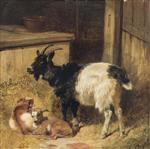 John Frederick Herring  - Bilder Gemälde - Goats