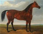 John Frederick Herring  - Bilder Gemälde - Horse