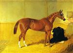John Frederick Herring  - Bilder Gemälde - Our Nell, A Bay Racehorse in a Stable