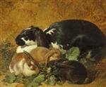 John Frederick Herring  - Bilder Gemälde - Rabbits