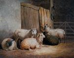 John Frederick Herring  - Bilder Gemälde - Sheep