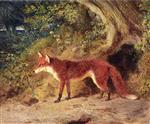 John Frederick Herring  - Bilder Gemälde - The Red Fox