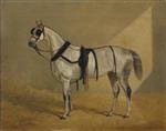 John Frederick Herring  - Bilder Gemälde - White Horse