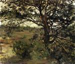 Lovis Corinth  - Bilder Gemälde - Luneberger Heide