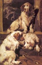 Bild:Clumber Spaniels